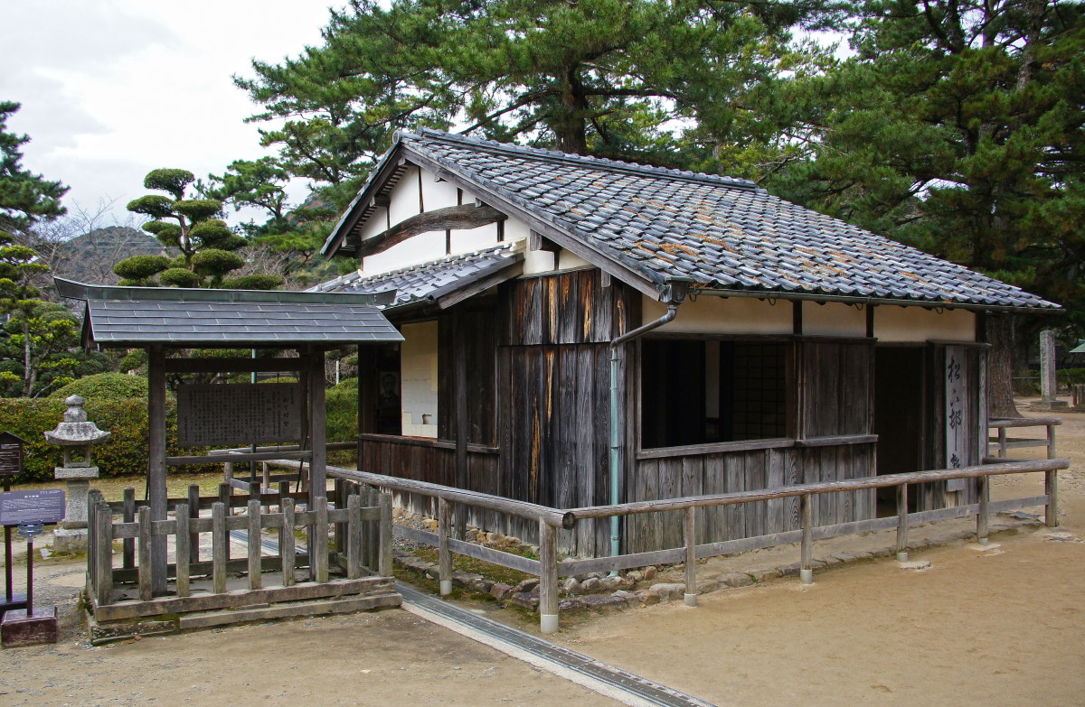 ３．税務・会計サービス